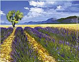 Talantbek Chekirov Famous Paintings - Lavendelfeld mit Baum